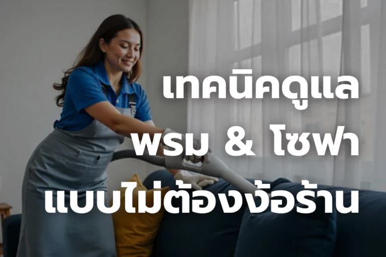 บ้านสะอาดขึ้นทันตา รวมเทคนิคดูแล “พรม & โซฟา” แบบไม่ต้องง้อร้าน