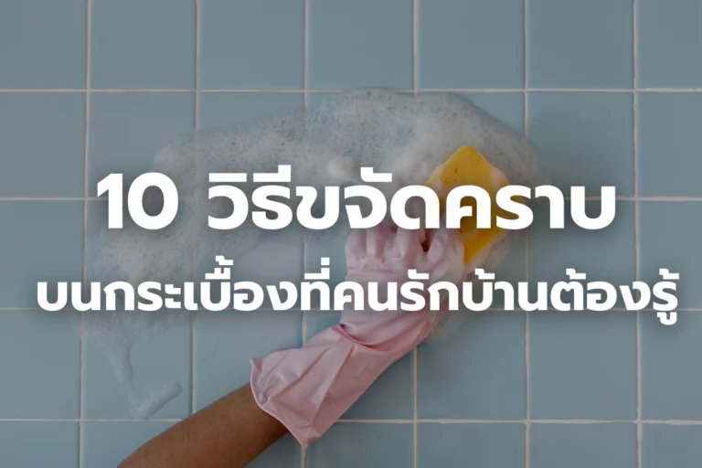 เปิดลิสต์ 10 วิธีขจัดคราบบนกระเบื้อง ที่คนรักบ้านต้องรู้!